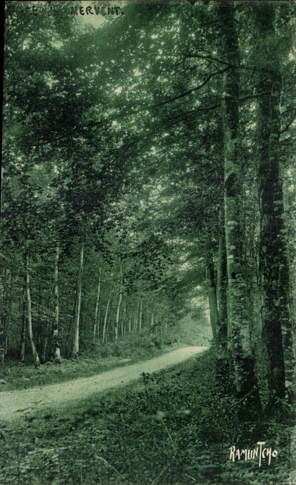 CPA foret de mervent