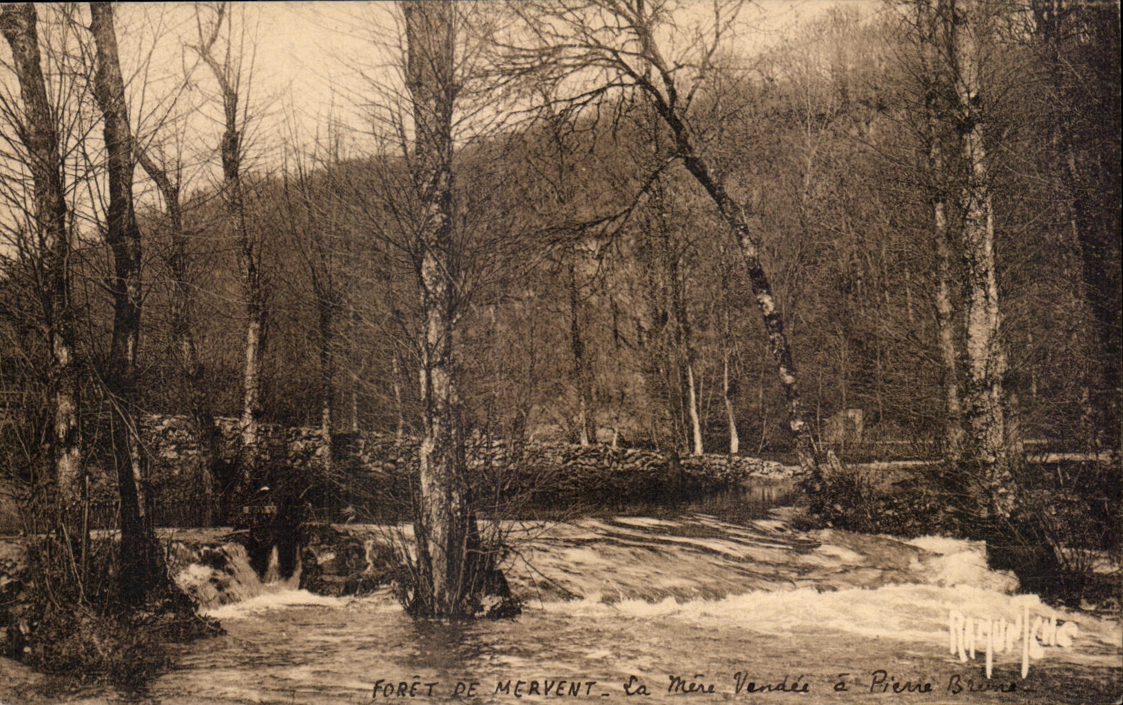 CPA Environs de fontenay le comle foret de mervent la mere vendee a parre brune