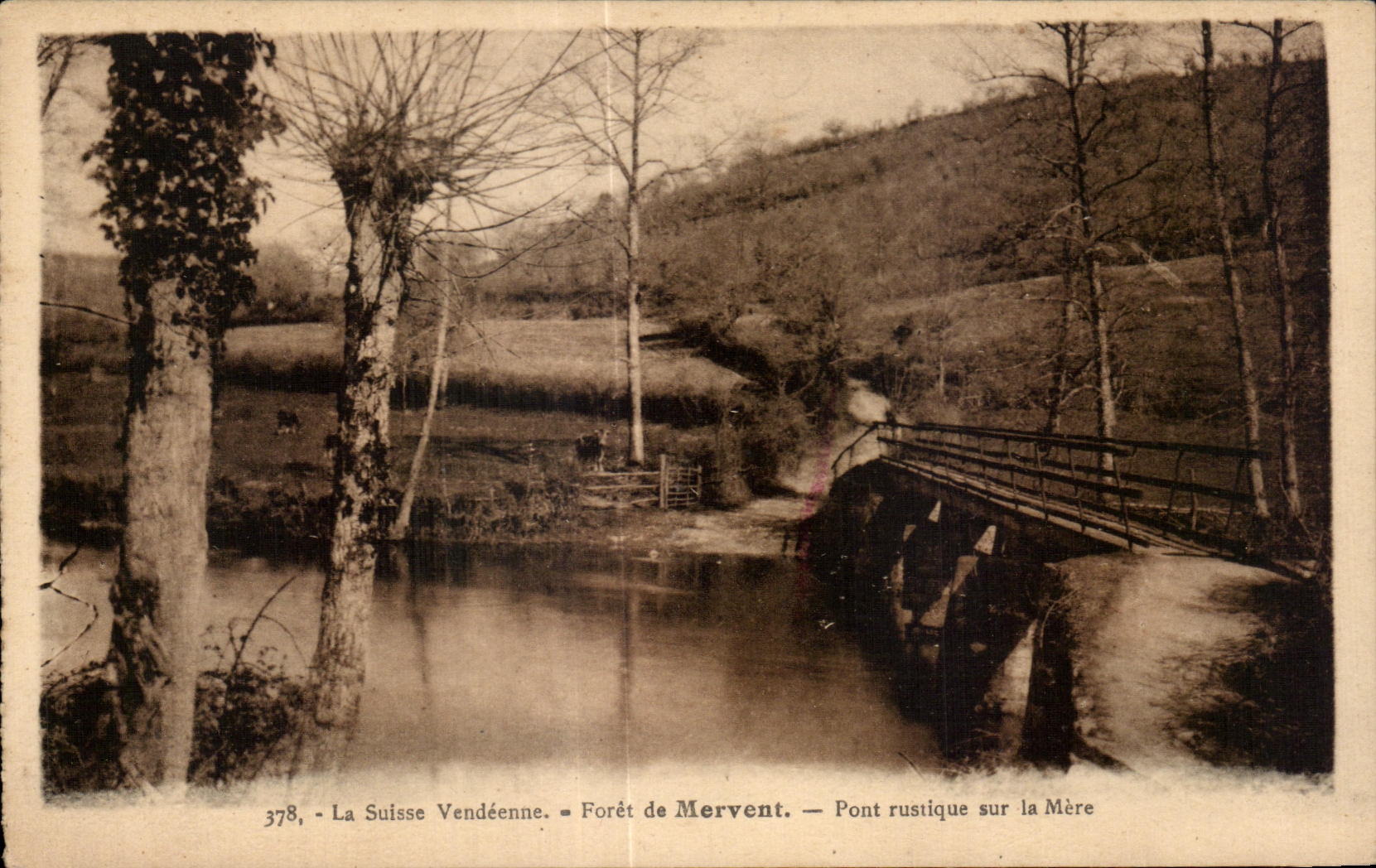 CPA La suisse vendeenne foret de mervent pont rustique sur la mere
