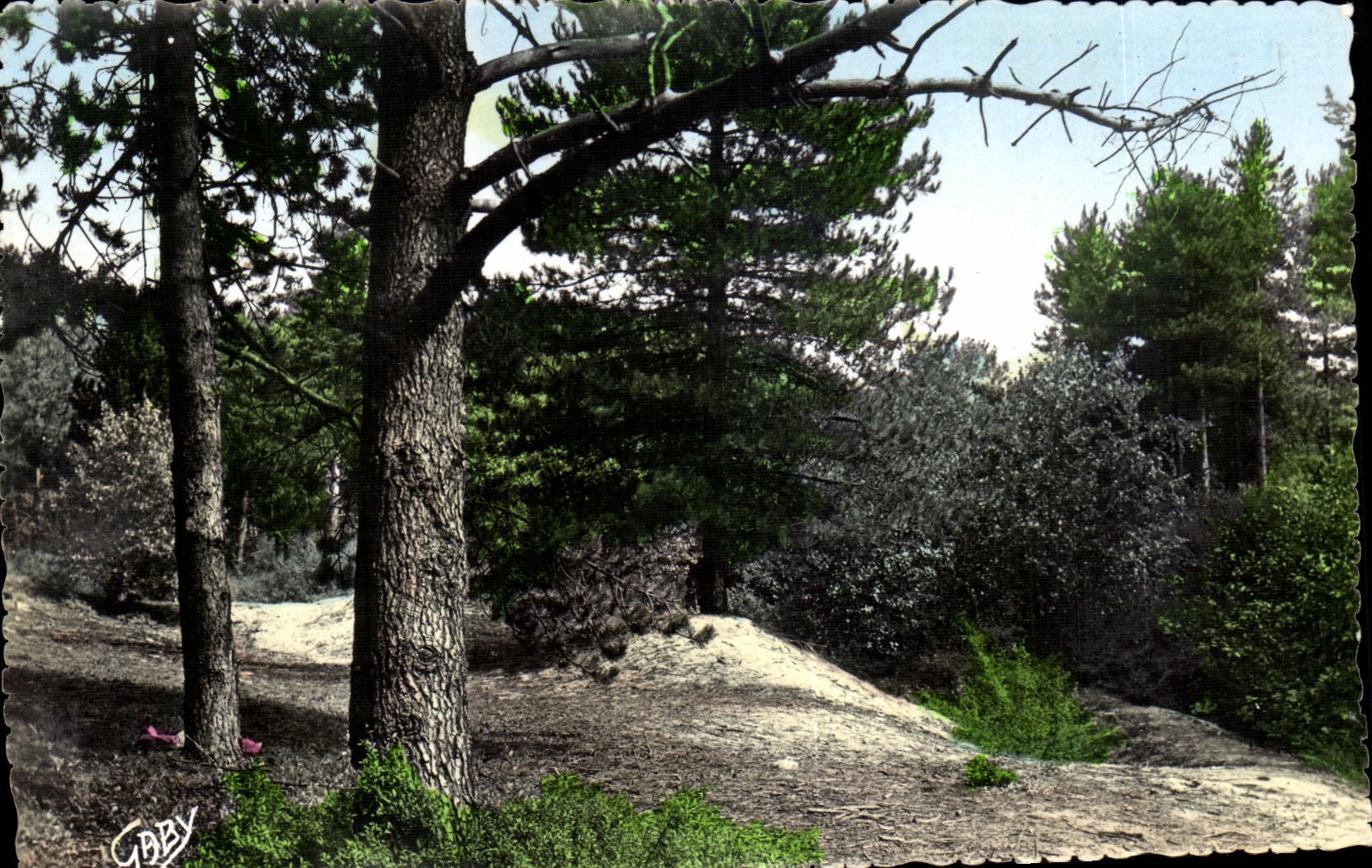 CPA Quend Plage the Pines Summons