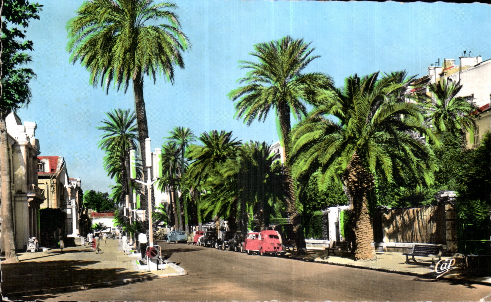 CPA Hyeres les Palmiers Avenue de Belgique