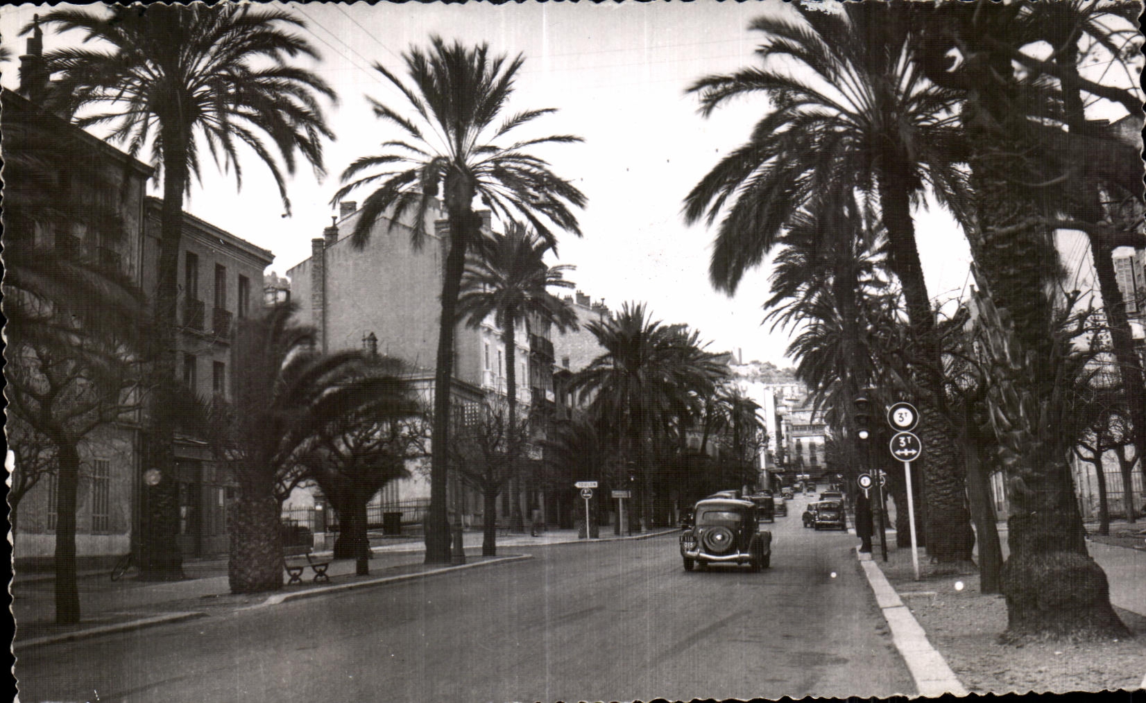 CPSM Hyeres les Palmiers Var Avenue Cambetta