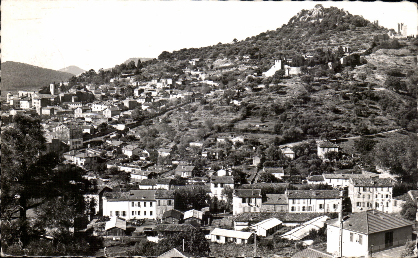 CPA Hyeres les Palmiers Vue generale Au fond le Chateau