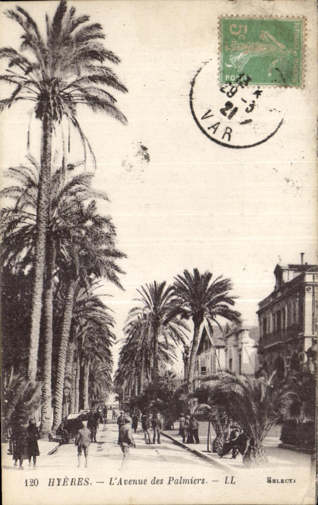 CPA Hyeres l Avenue des Palmiers