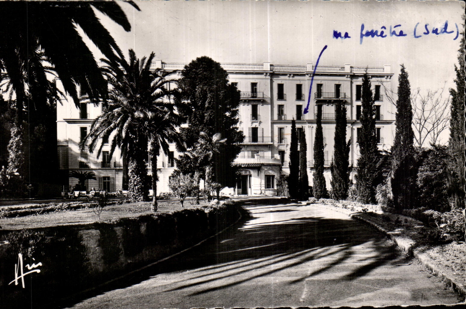 CPA La Cote d Azur Hyeres les Palmiers Hotel Chateaubriand