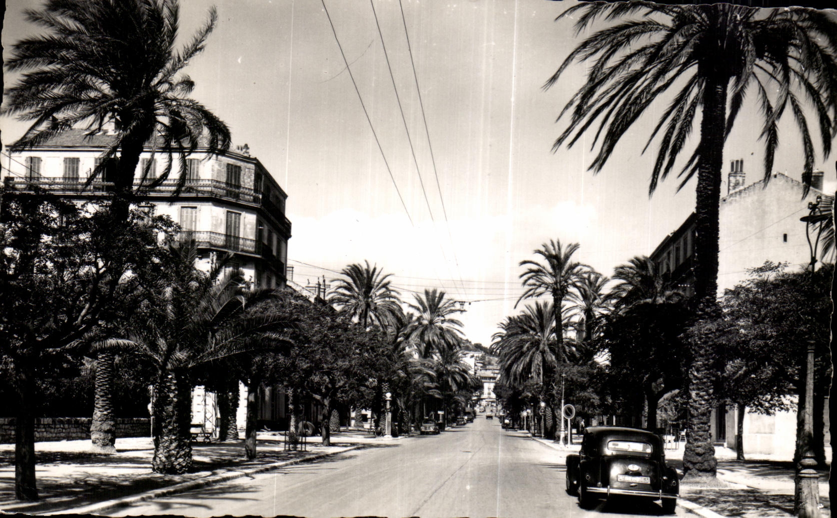 CPA LE Littoral Mediterraneen Hyeres les Palmiers Avenue Gambetta
