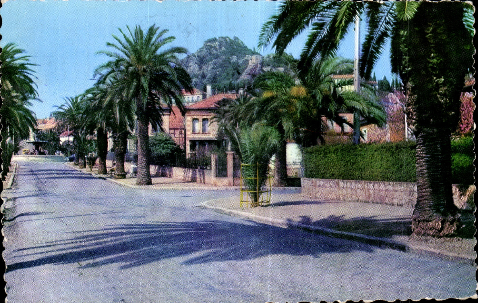 CPA Hyeres les Palmiers Var Avenue Godillot