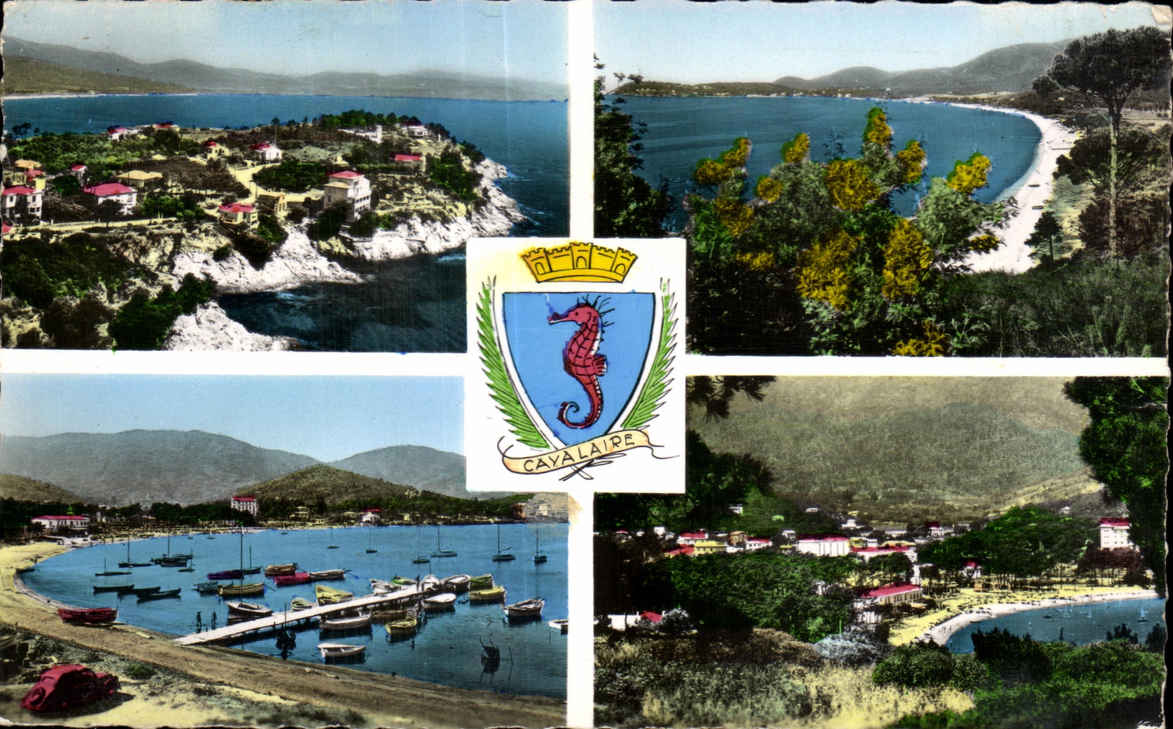 CPSM Souvenir of Cavalaire