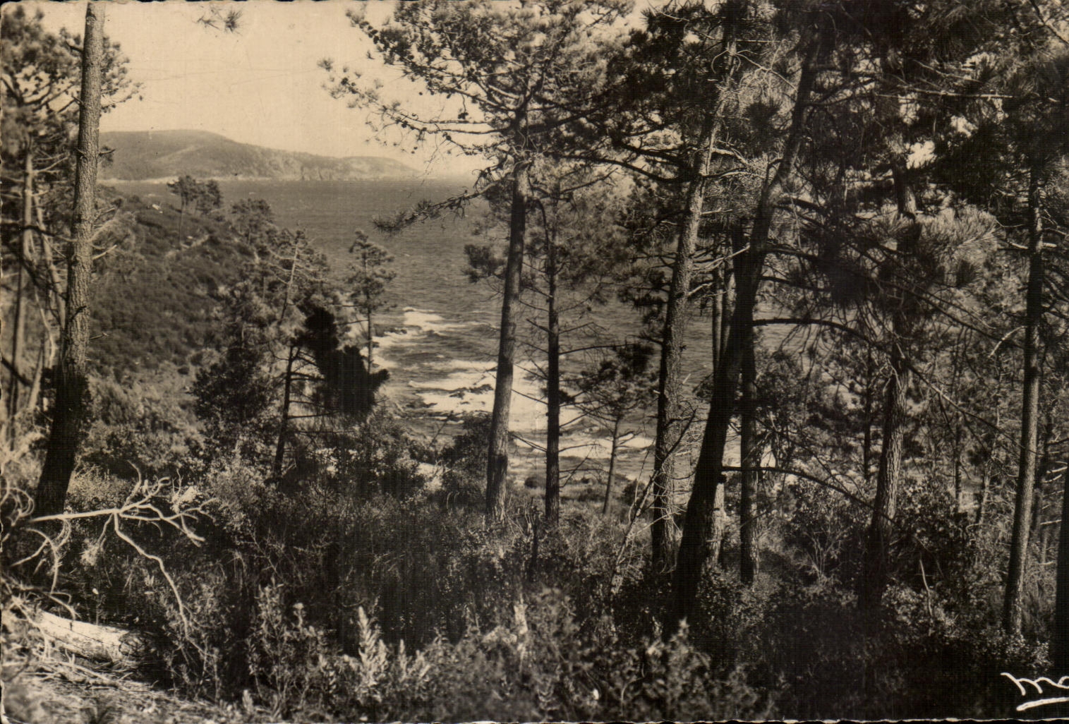 CPA the Dimension Cavalaire Azure on Sea Good Perlo