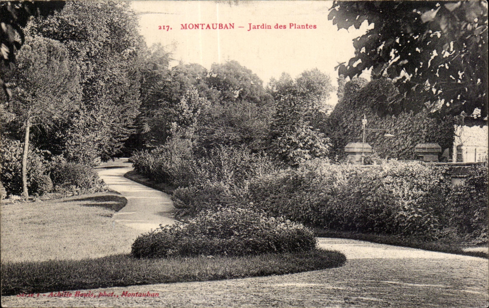 CPA Montauban Garden of Piantes