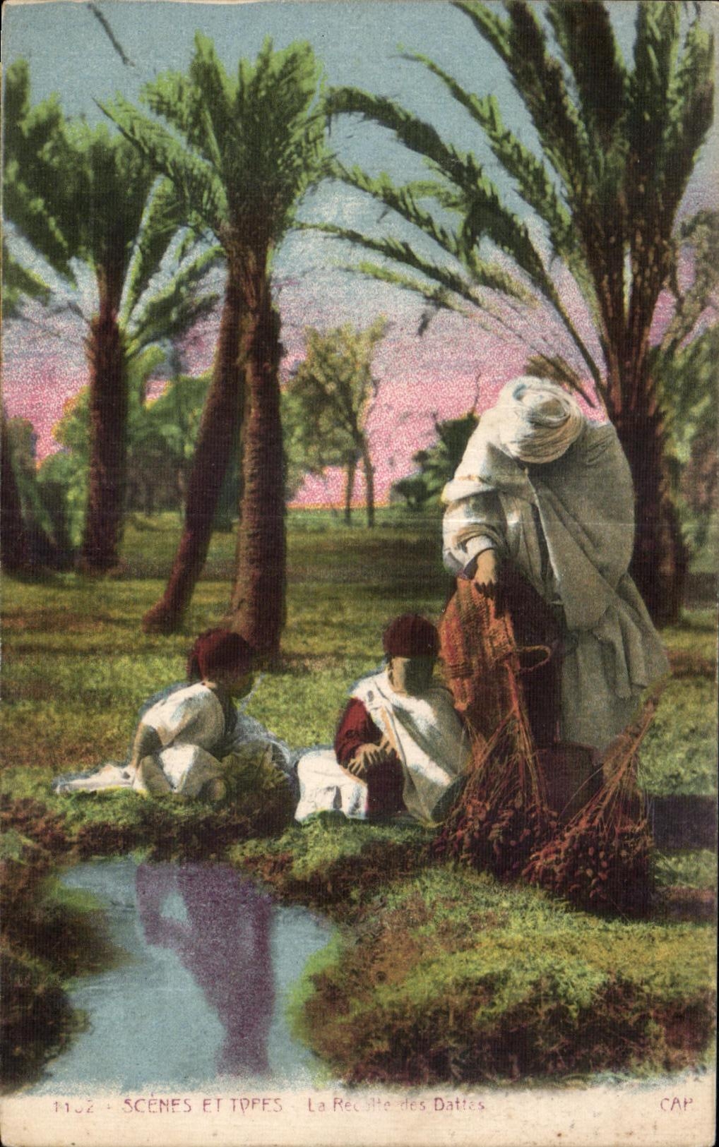 CPA Morocco Scenes And Standards the harvest of dates