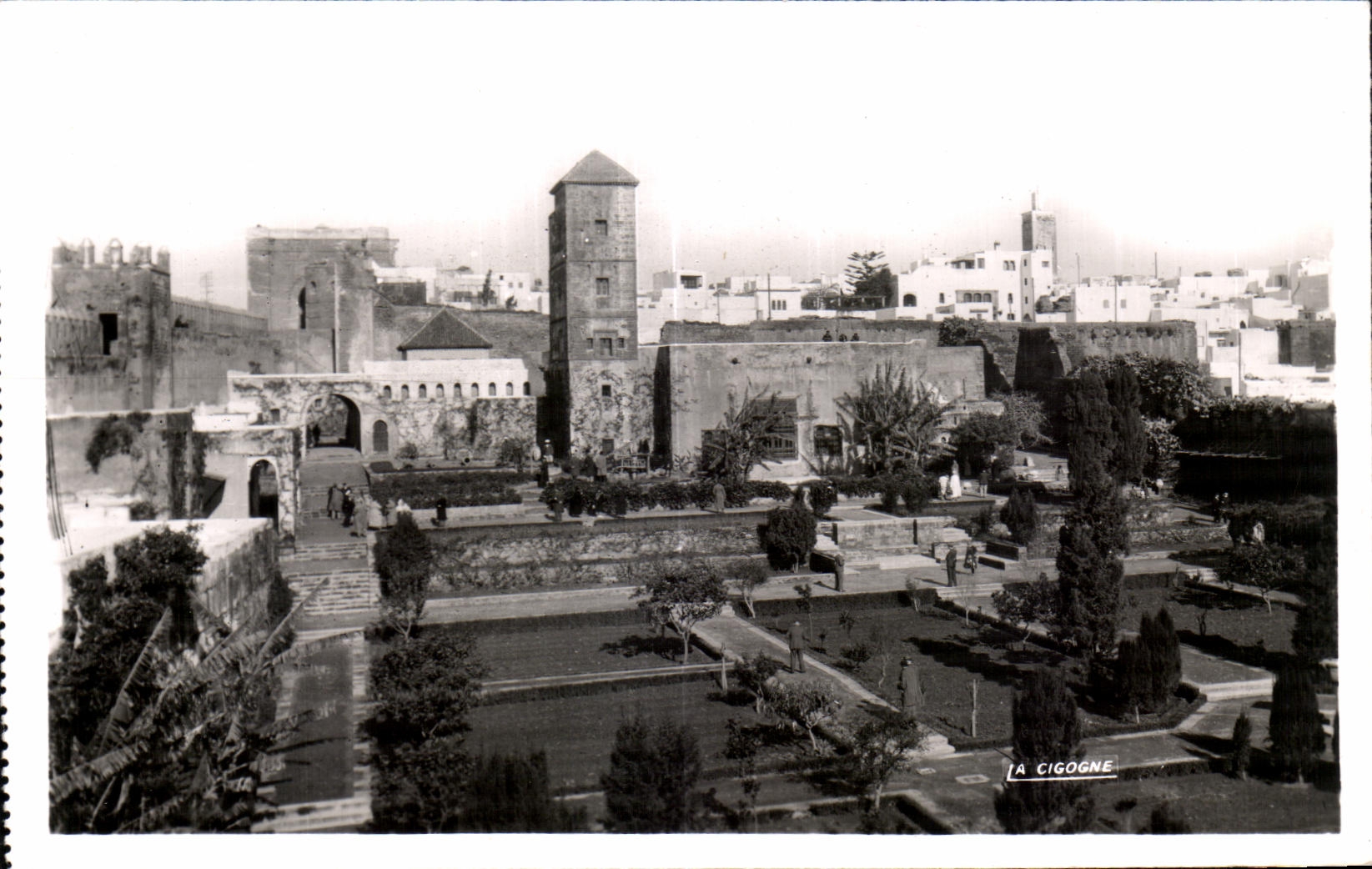 CPA Maroc Rabat Jardin des Oudaias