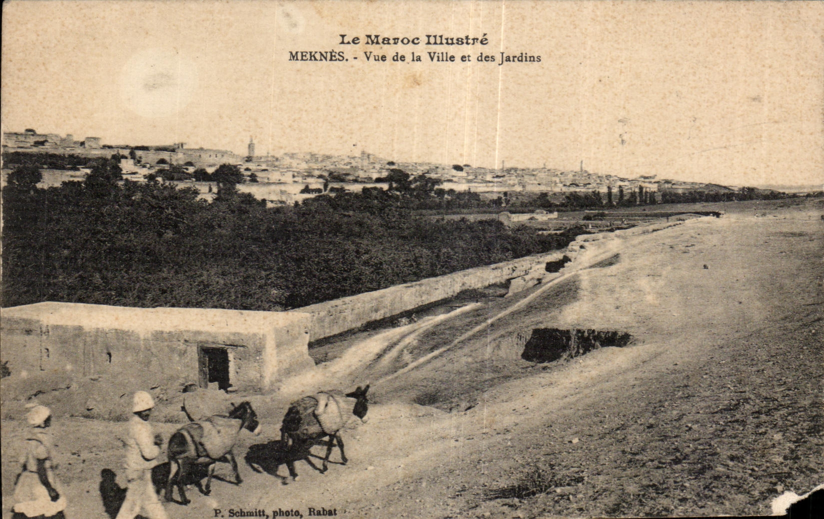 CPA Maroc Le maroc Illustre Meknes Vue de la Ville et des Jardins