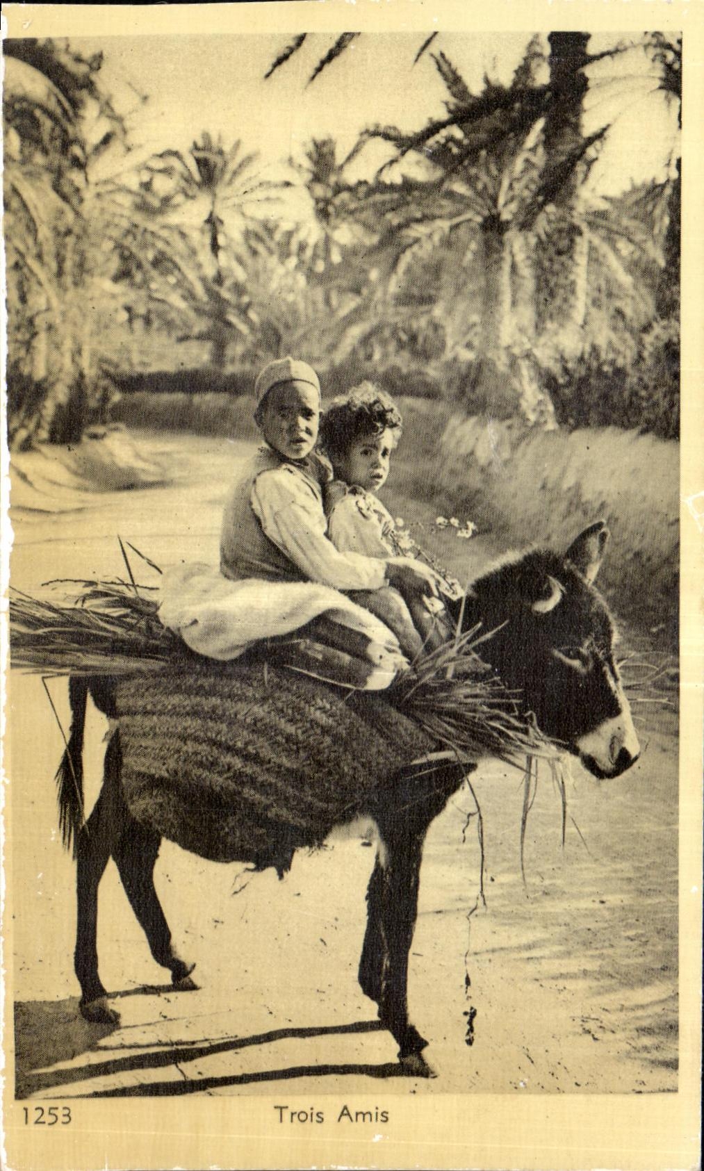 CPA Morocco Three Friends Ass Donkey