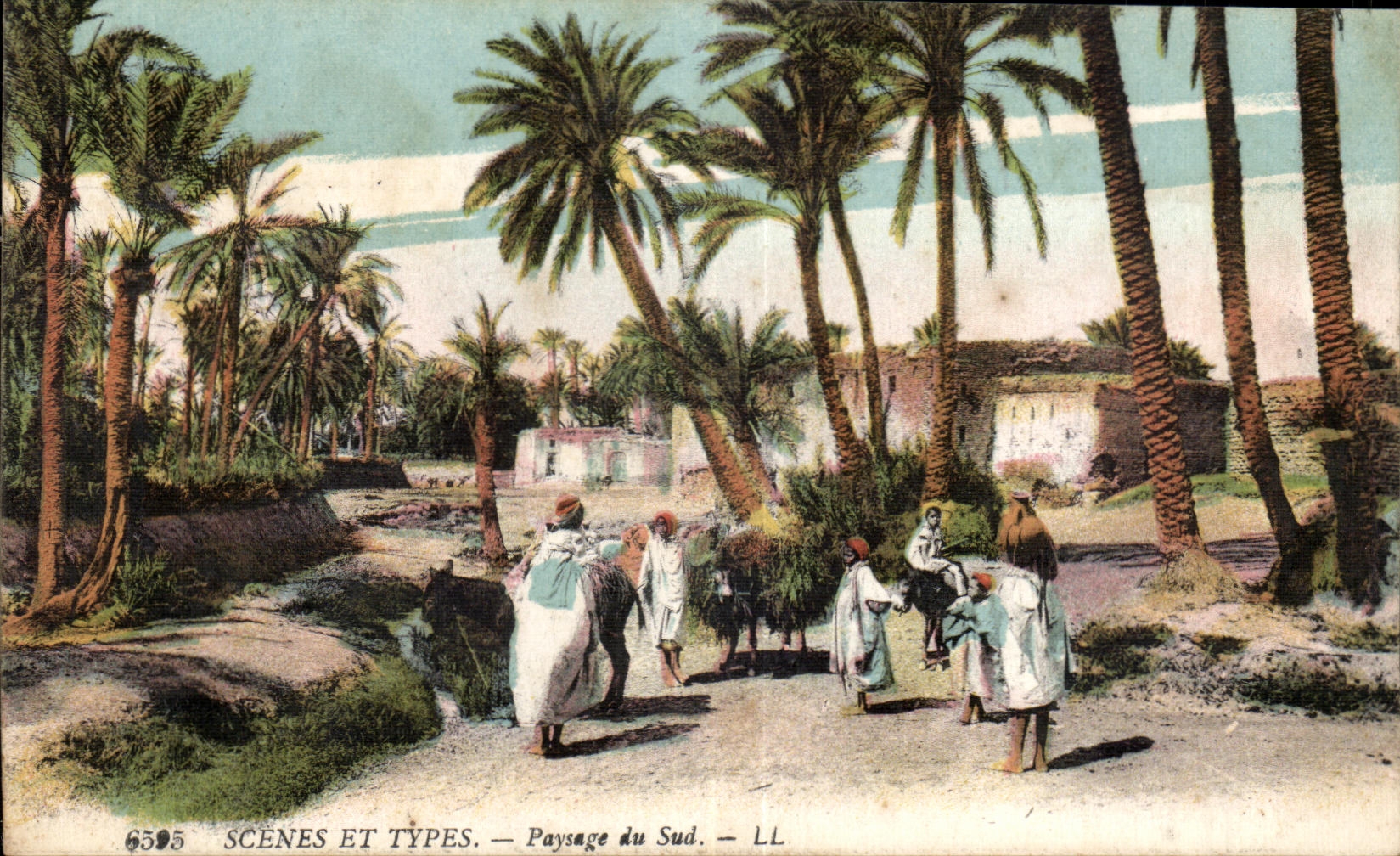 CPA Morocco Scenes and Standard Landscapes of the South Ass Donkey