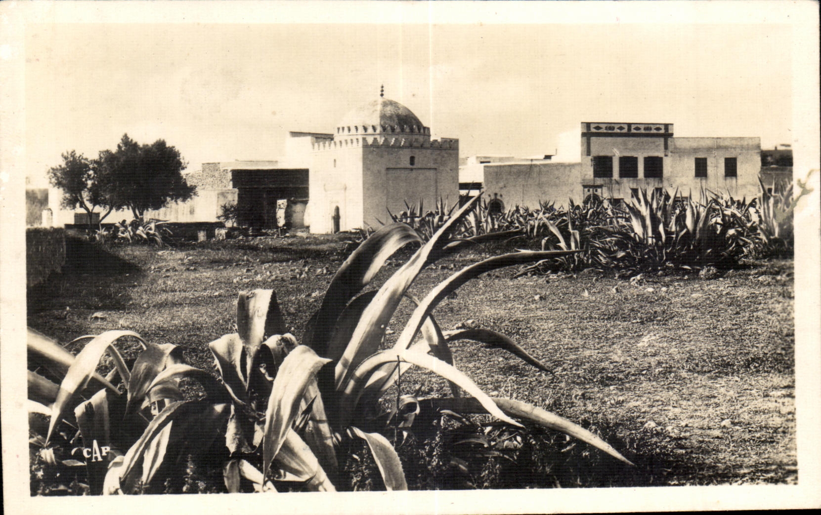 CPA Morocco Settat Marabout of sidi Bou Abib
