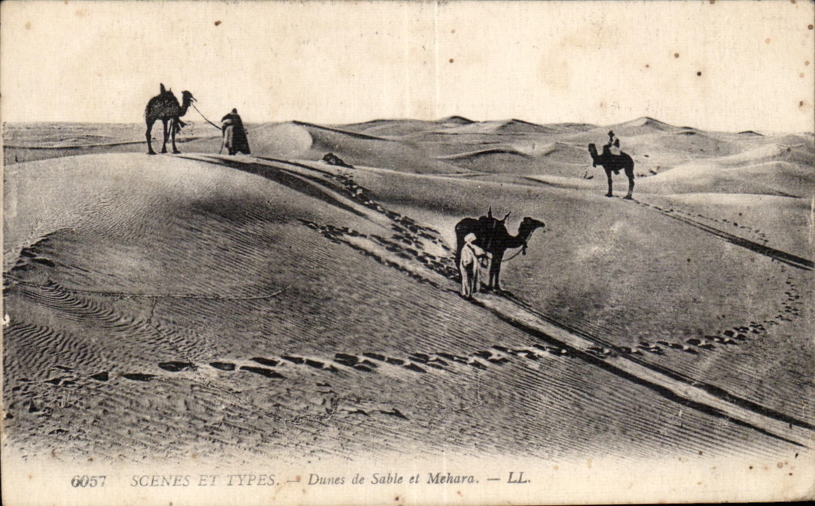 CPA Morocco Scenes And Standard Sand Dunes and Mehara Camel Camel