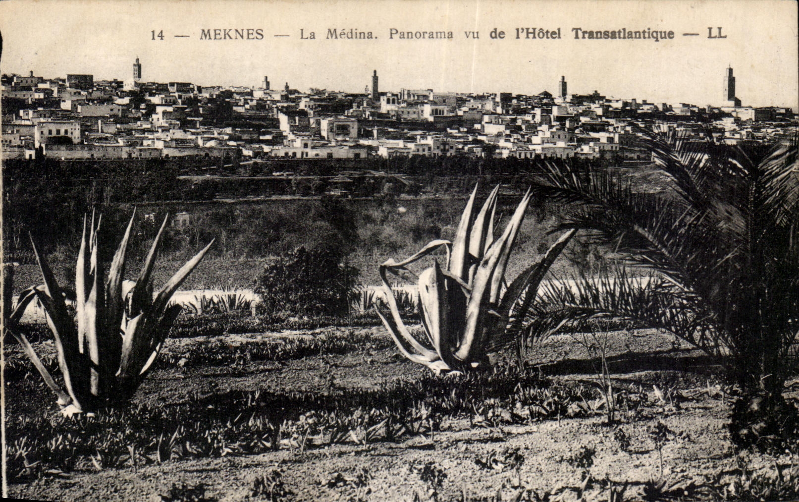CPA Maroc Meknes La Medina Panorama vu de I Hotel Transatlantique