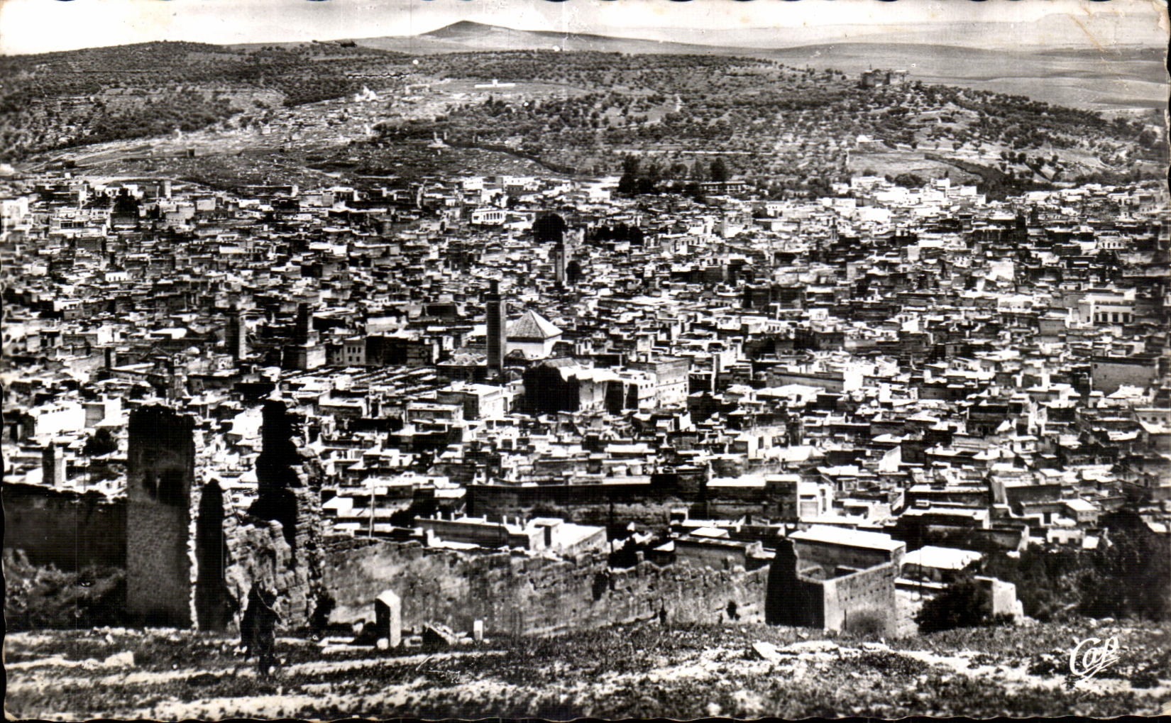 CPA Maroc Fes Vue Panoramique de la Medina