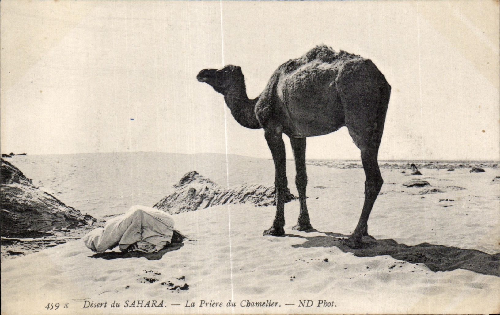CPA Morocco Serves of the Sahara the Prayer of the Camel driver Camel Chameau