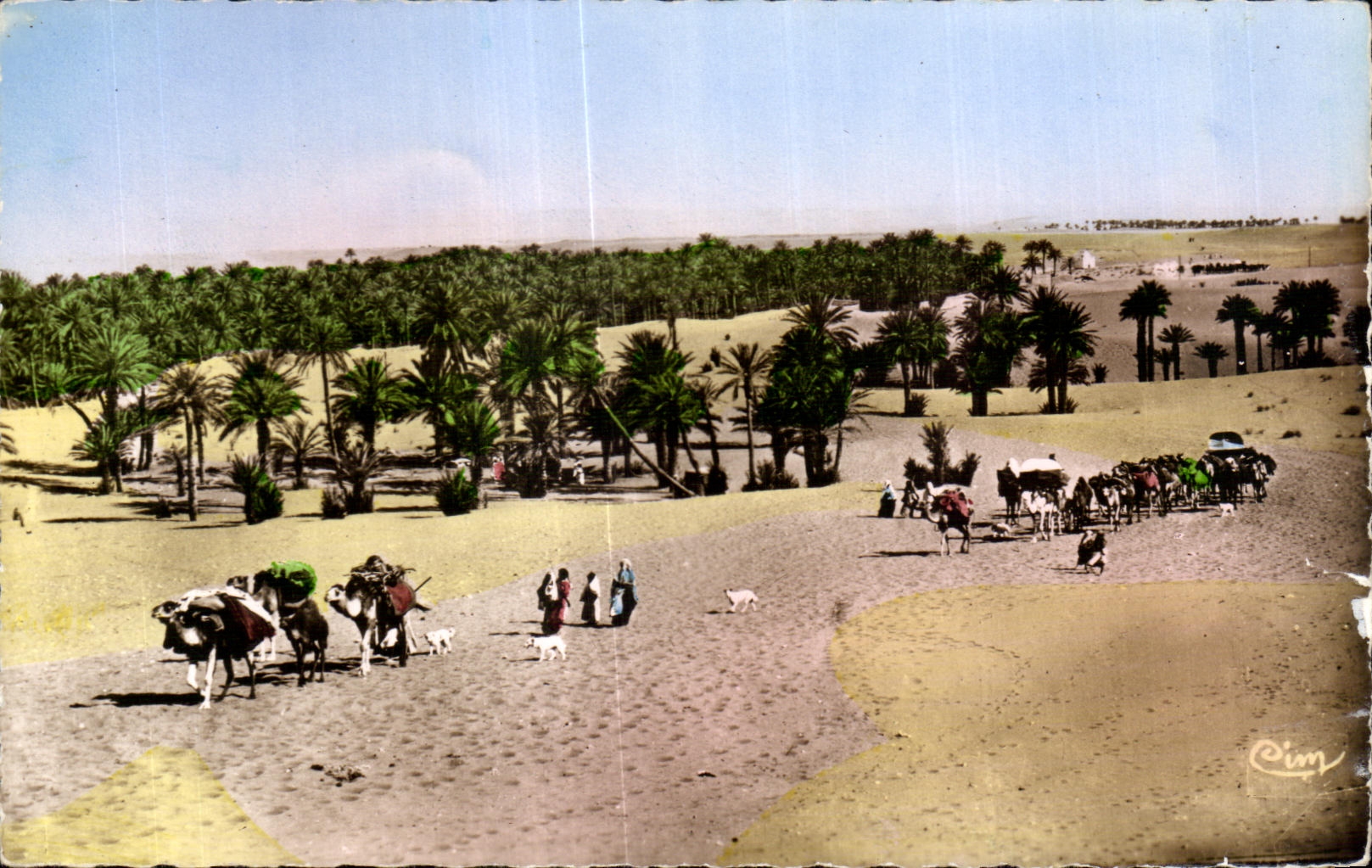 CPA Morocco Scenes and Standards of of Morocco a Caravan