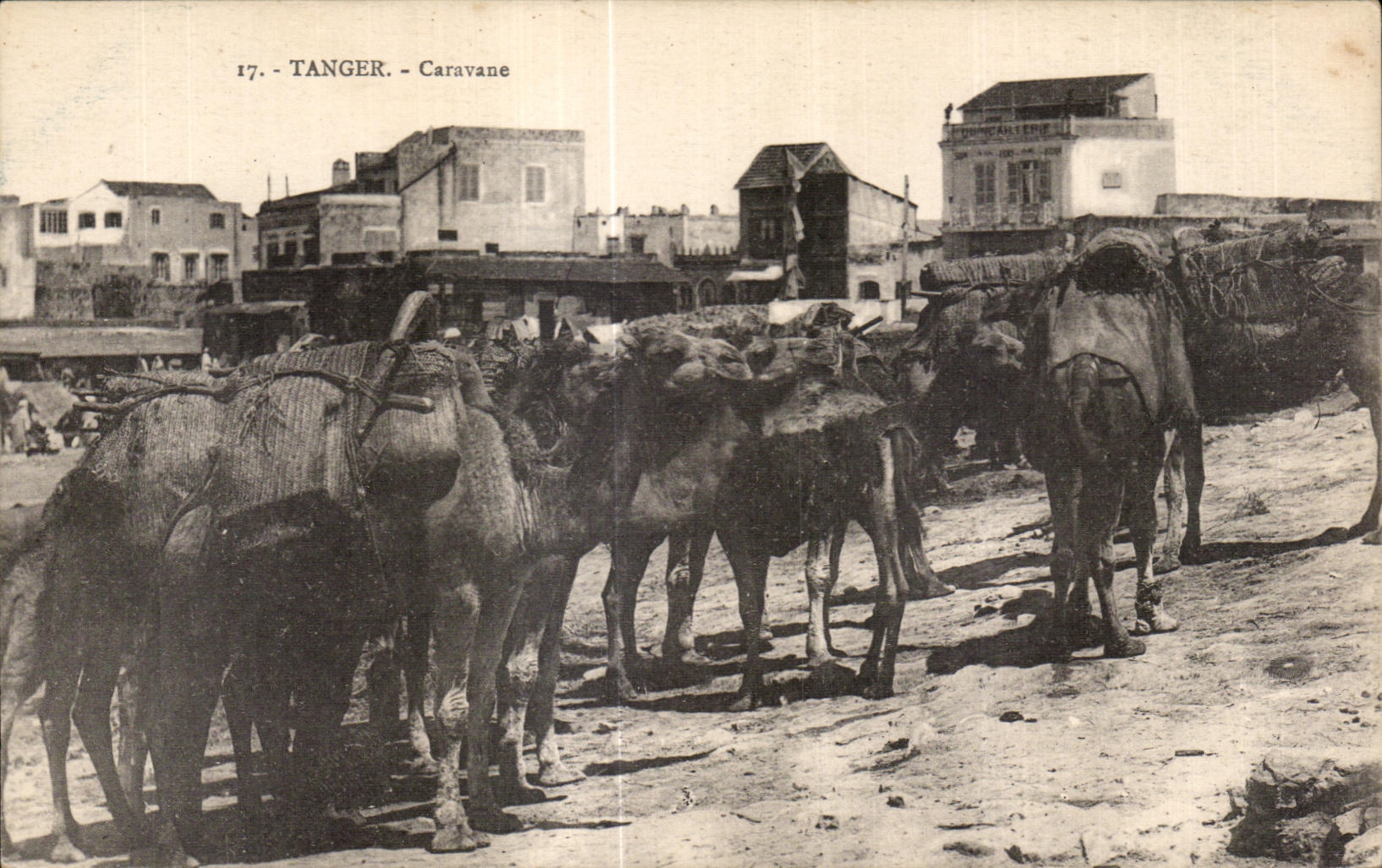 CPA Maroc Tanger Caravane Chameau Camel