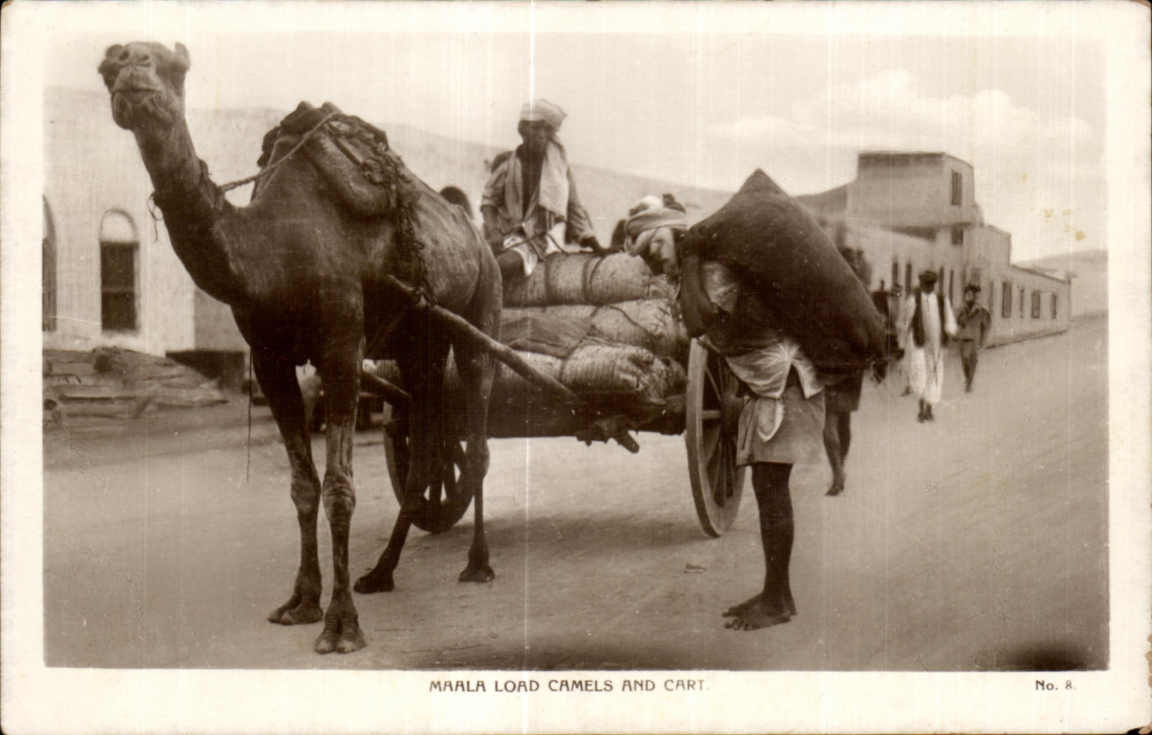 CPA Morocco Maala Load Camels And Cart Folklore Costume Camel