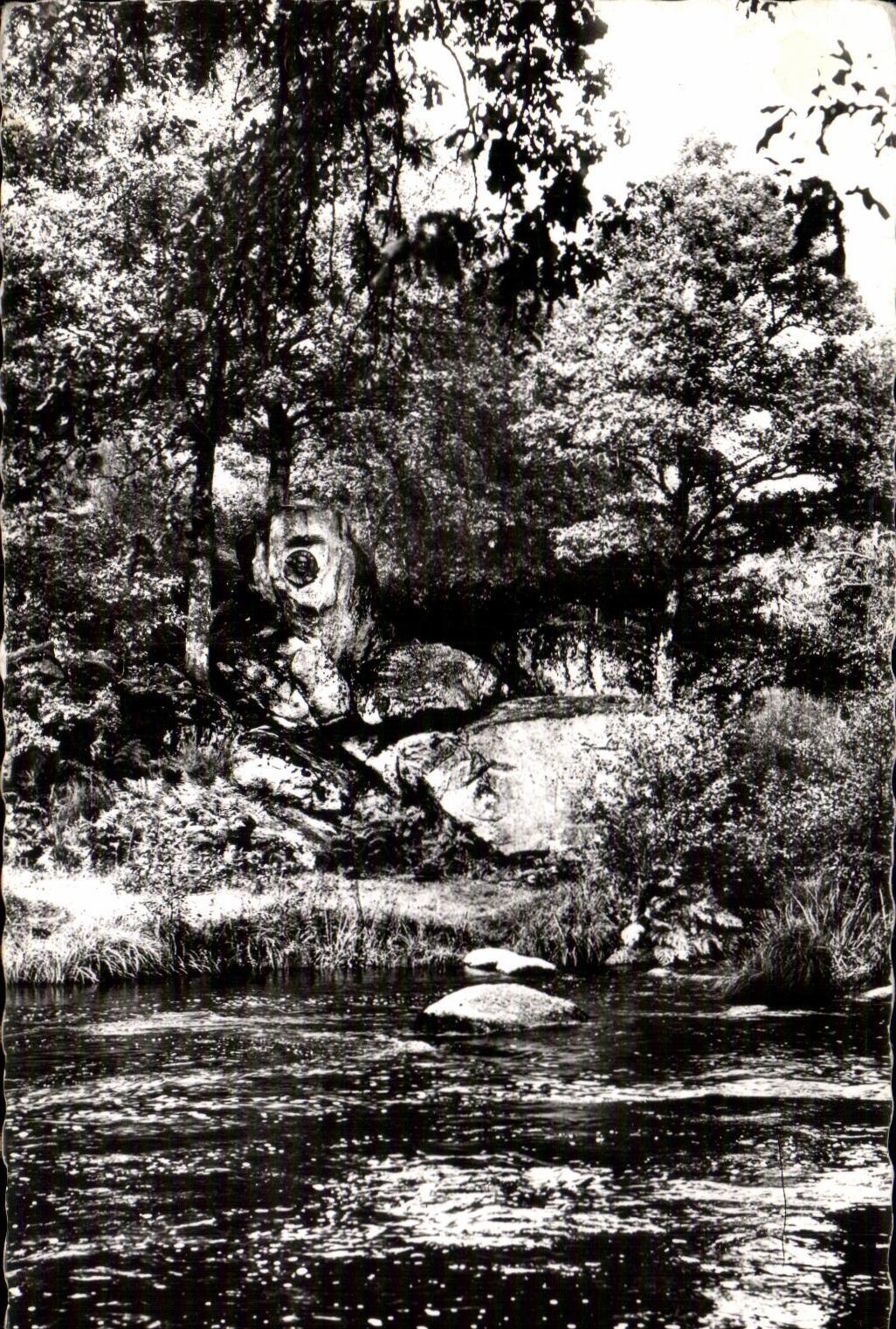 CPSM Le Limousin Pittresque Saint Junien Site Corot