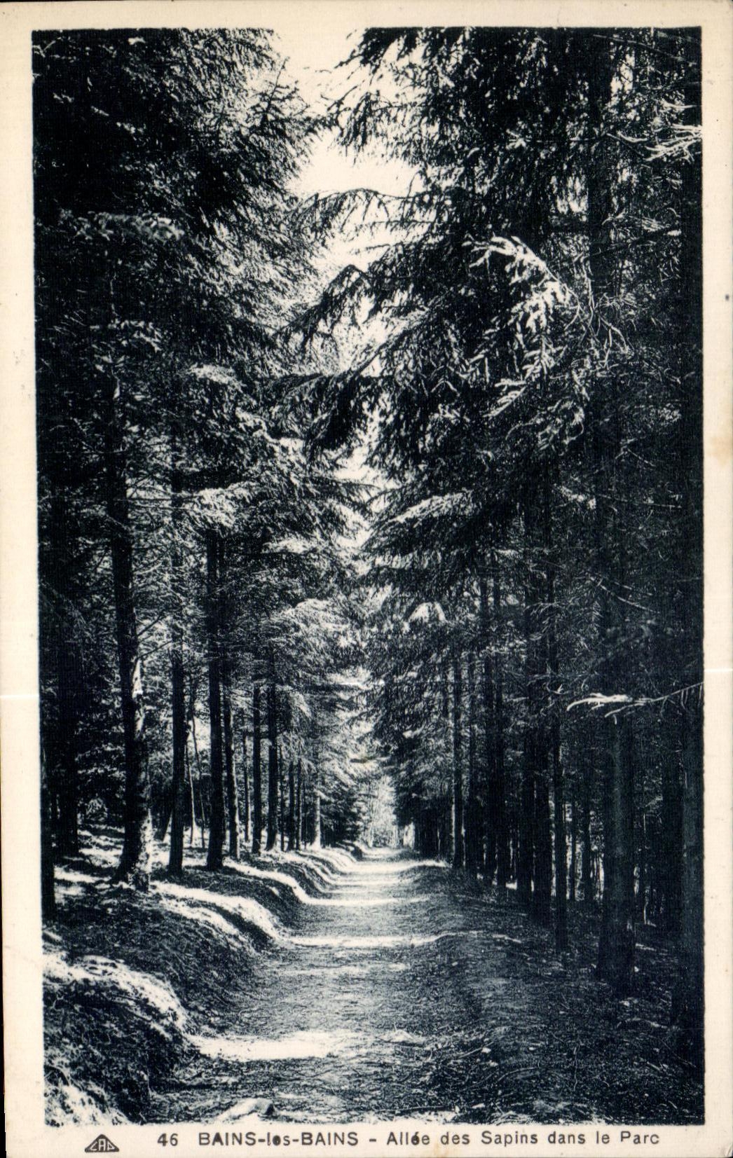 CPA Bains Les Bains Allee of the Fir trees in avoids