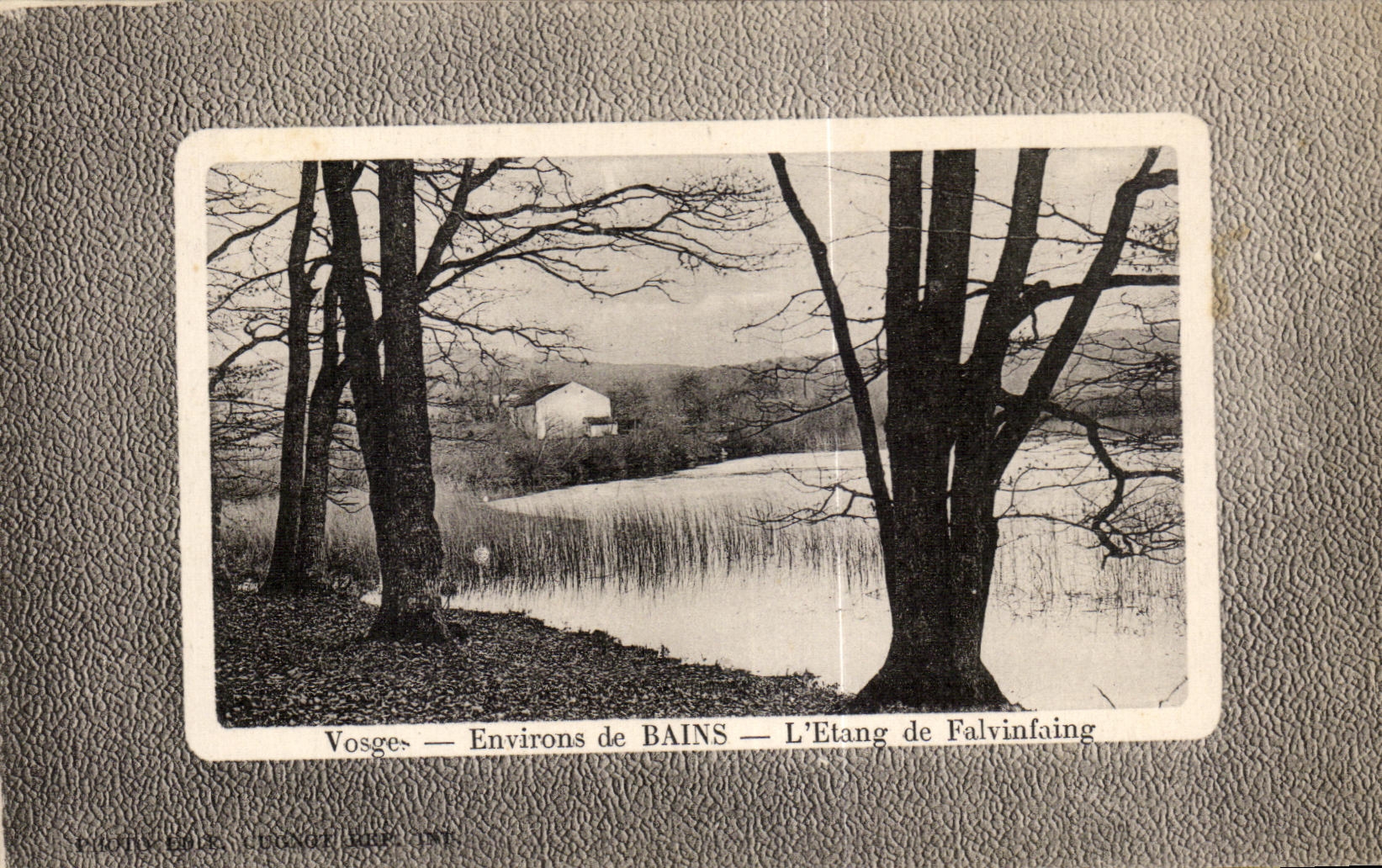 CPA the Vosges Surroundings of Baths Pond of Falvinfating