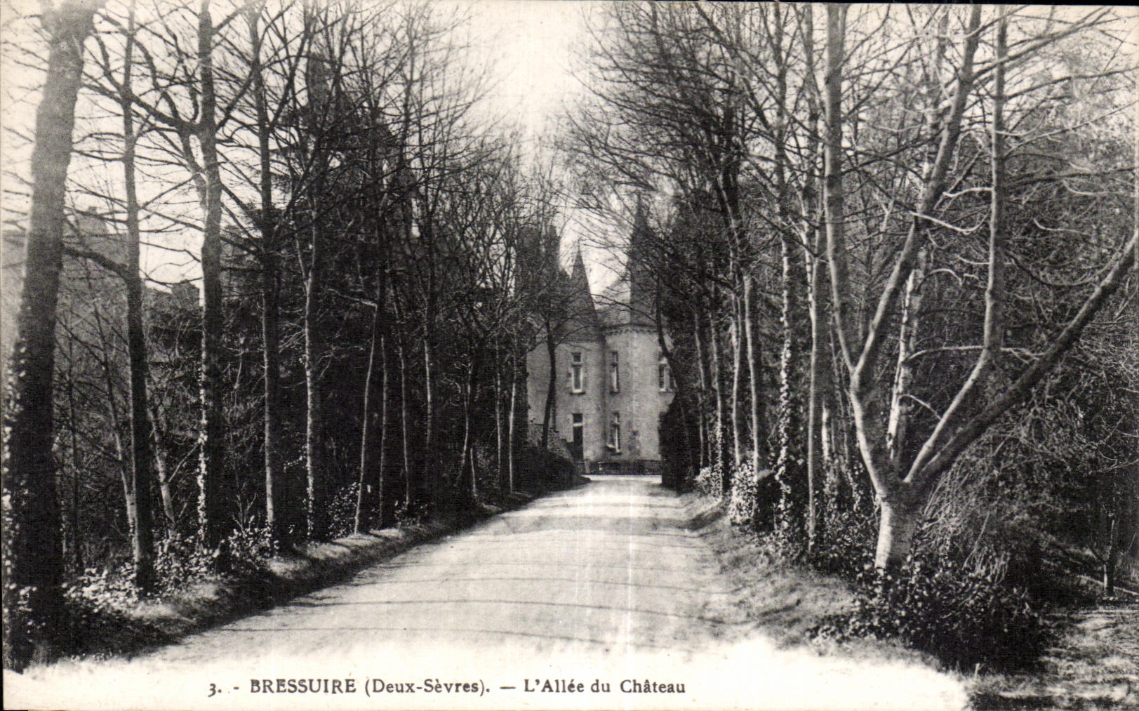 CPA Bressuire (Two Separate) Allee Castle