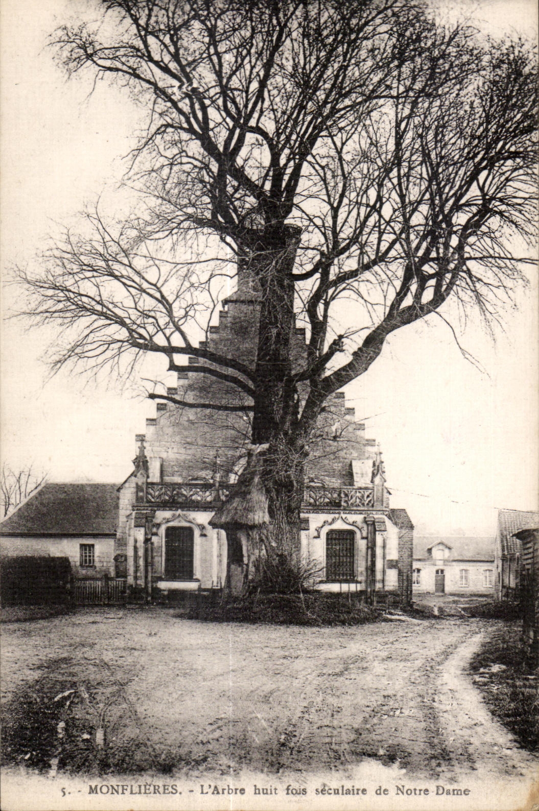 Monflieres - Tree eight times - CPA