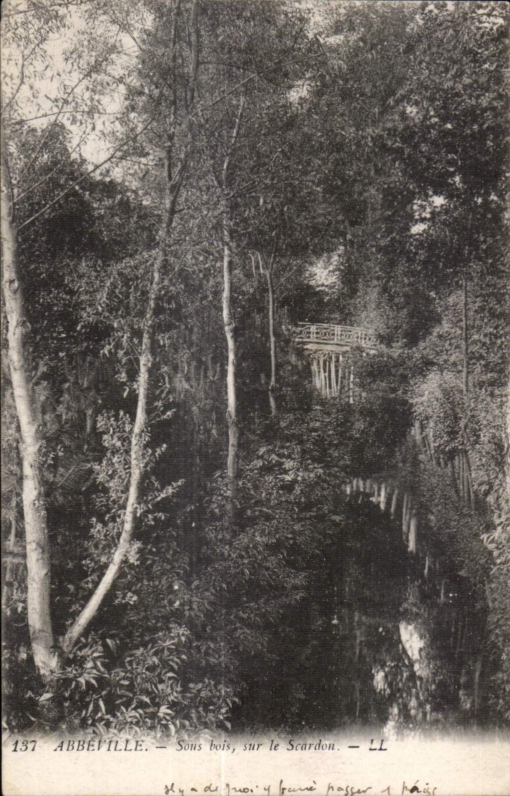 Abbeville - Under Wood - on Scardon - CPA