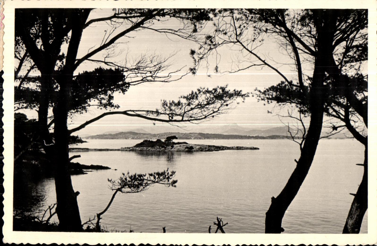 Isla de Porquerolles - punto precede - CPA