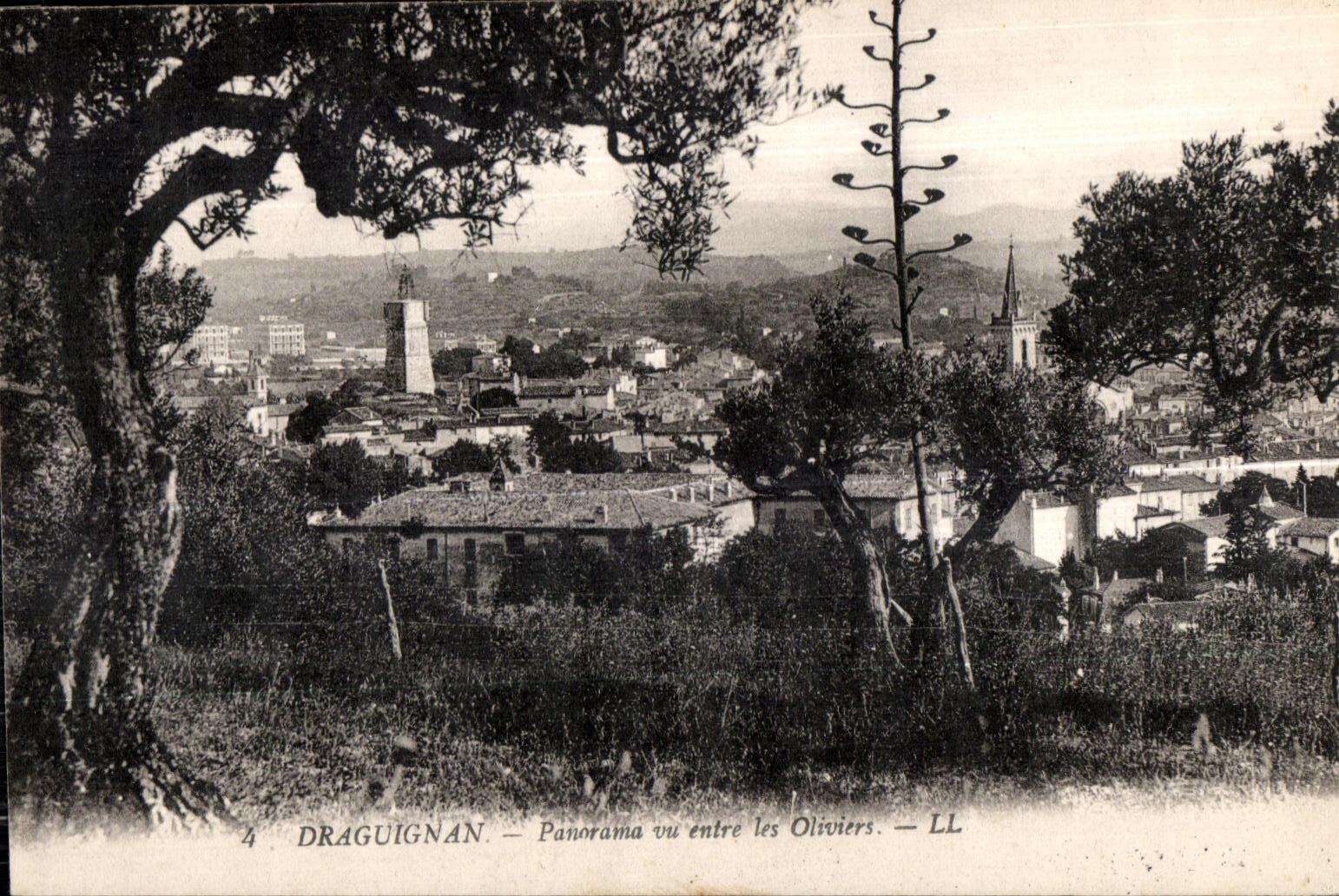 Draguignan - View between ls Oliviers - CPA