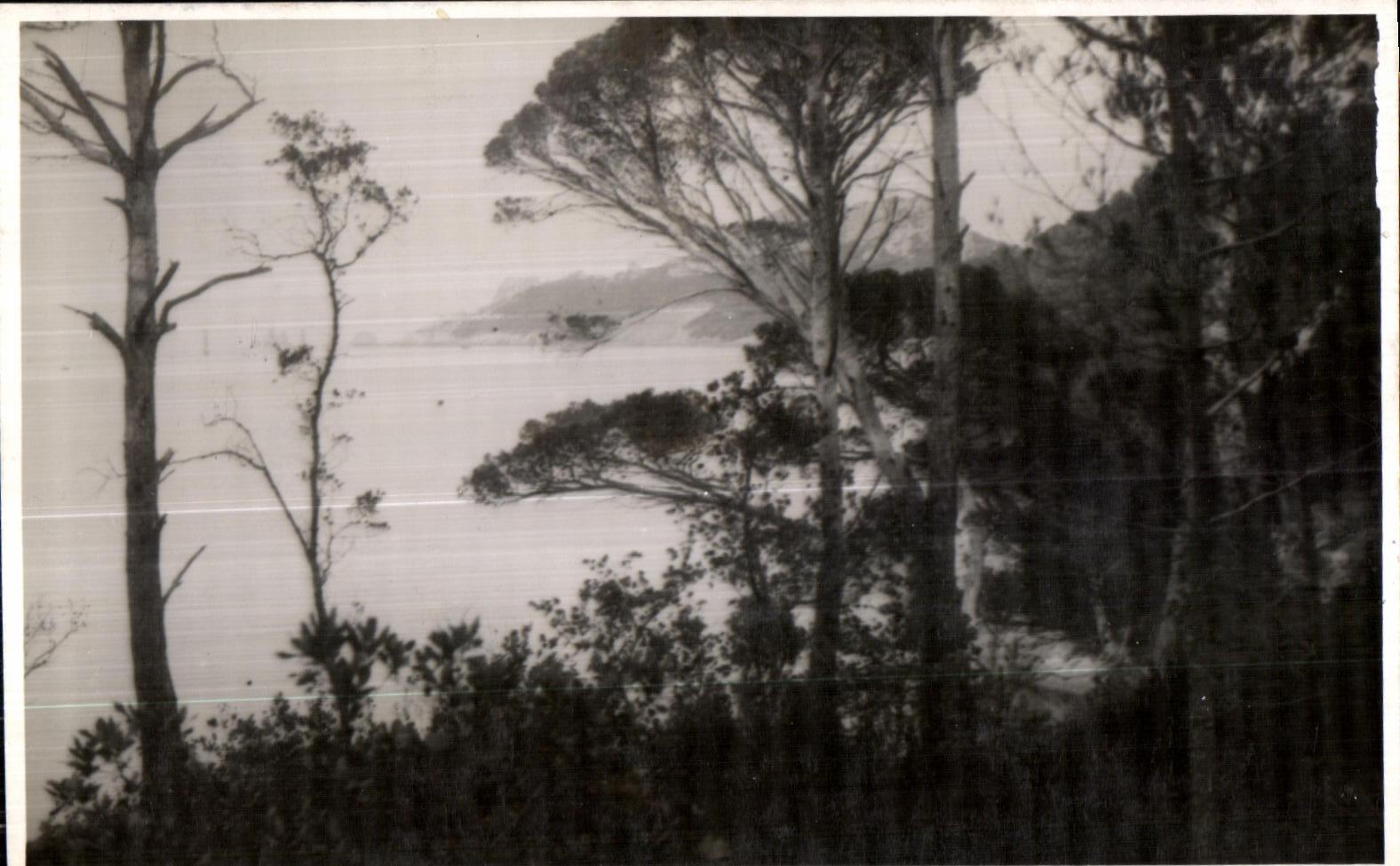 Island of Porquerolles - View - CPA