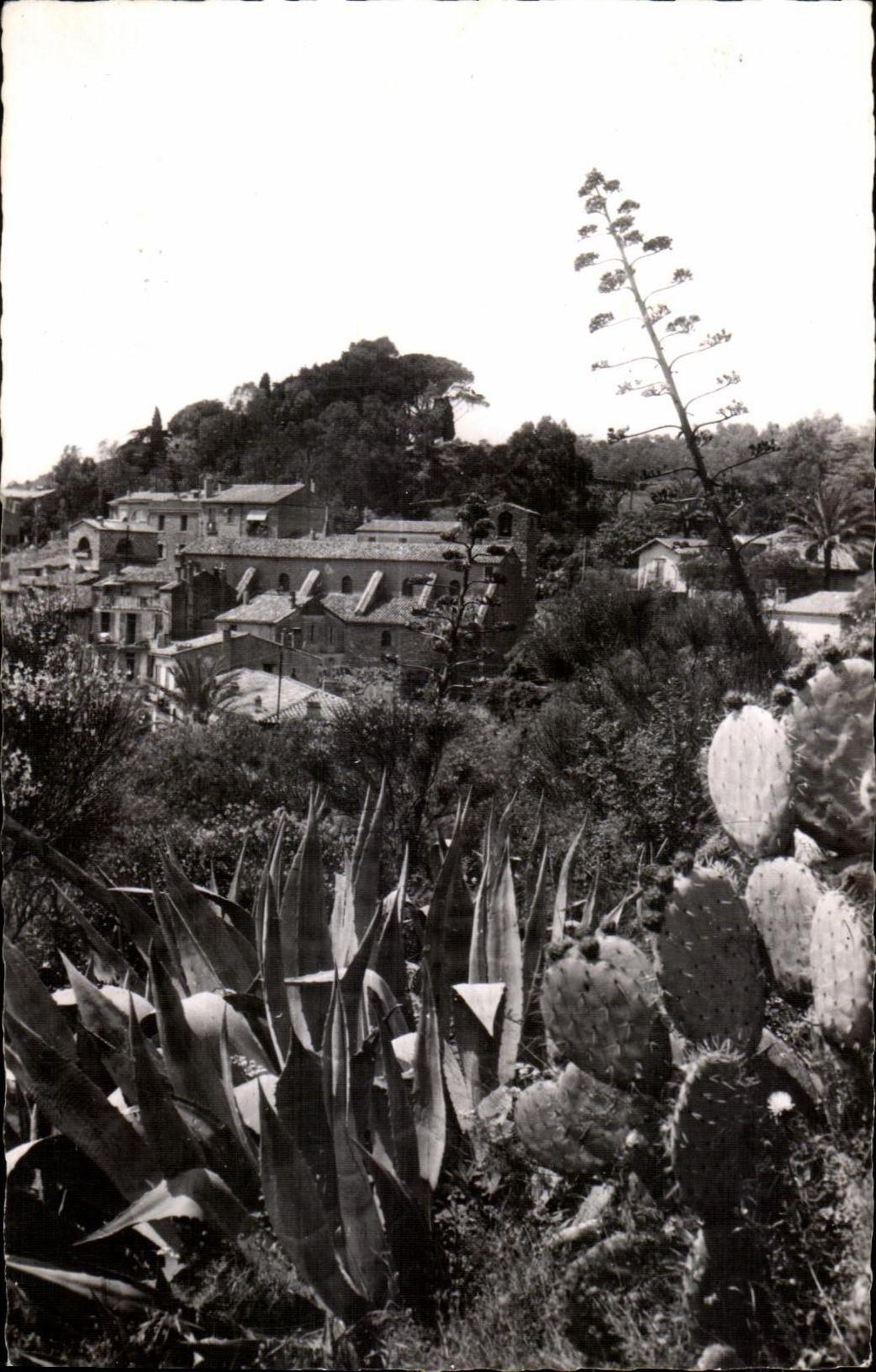 Bormes Mimosas - Sight towards Church - CPA