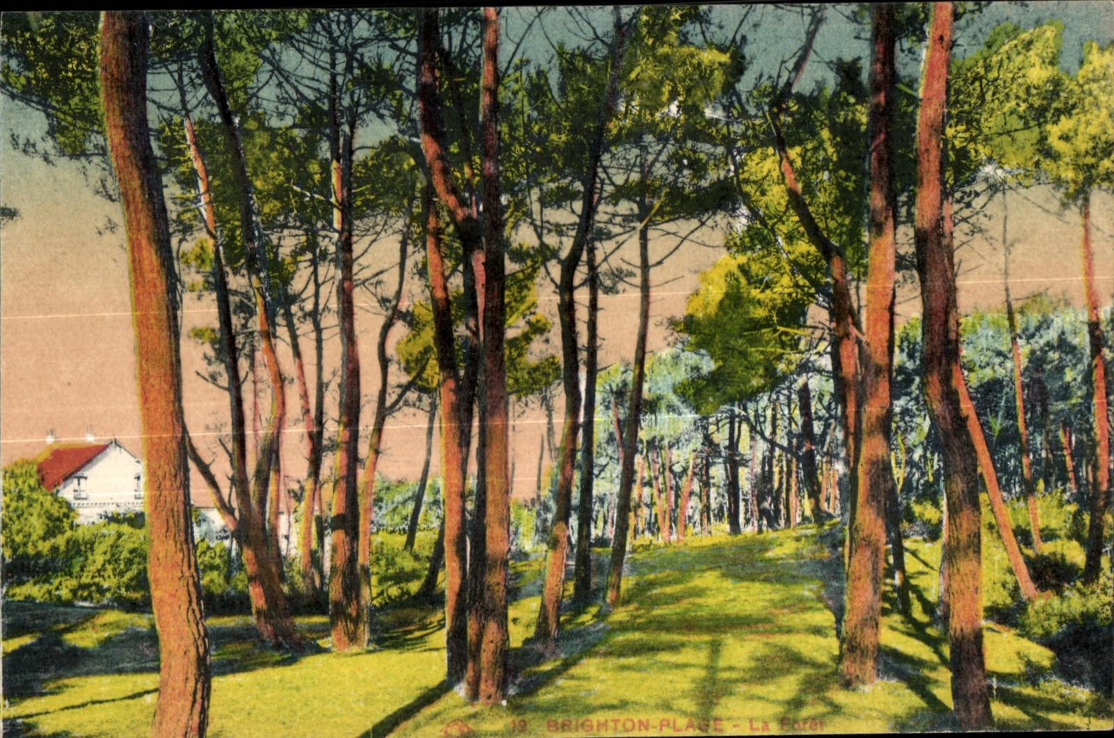 CPA Brighton Planes the forest