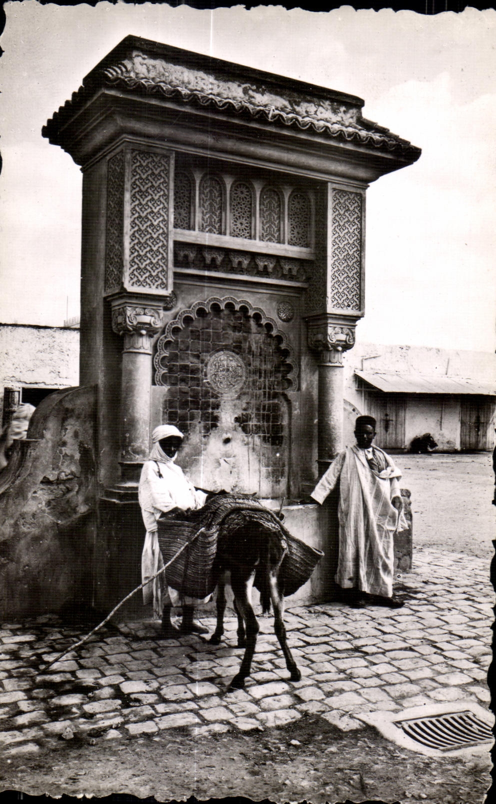 CPA Morocco Scenes Standards a Fountain Ass Donkey