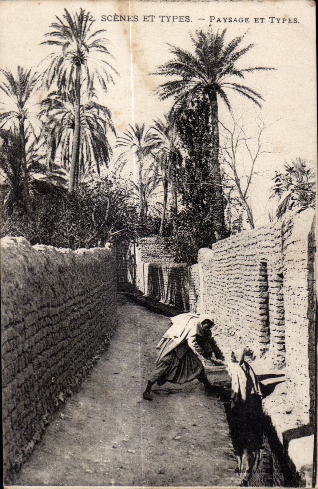 CPA Morocco Scenes And Standard Landscape And Types