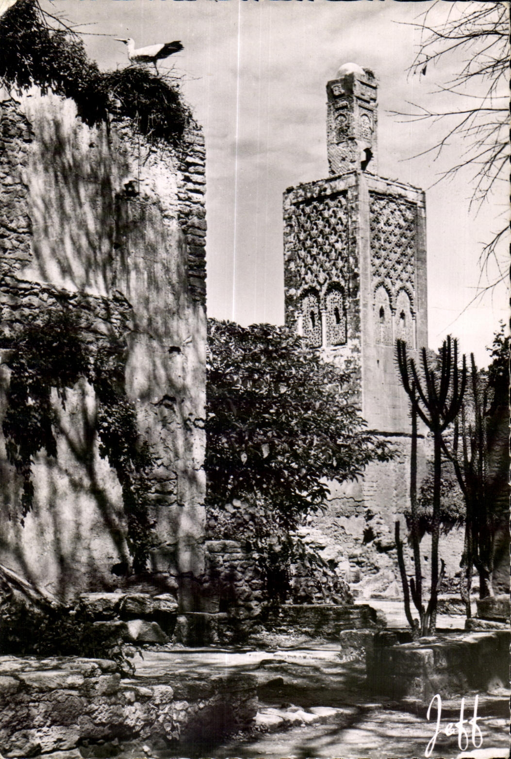 CPSM Maroc Rabat Challah le Minaret