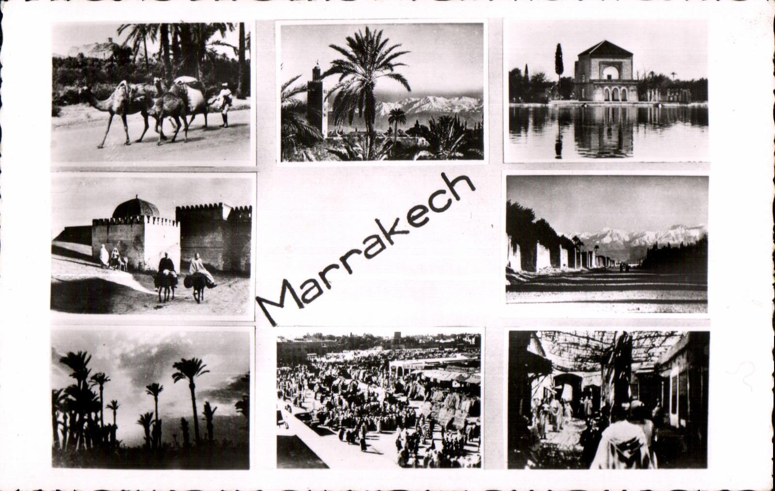 CPSM Maroc Marrakech pays des contrastes