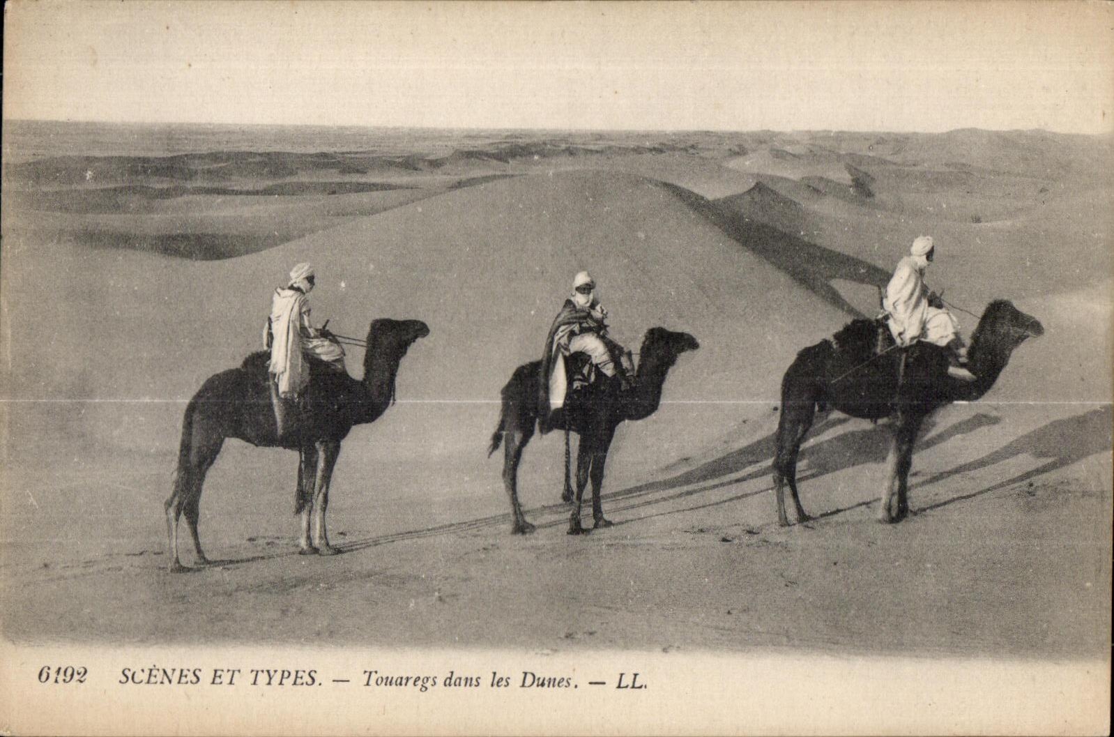 CPA Morocco Scenes and standard Tuaregs in the Dunes Camel Camel
