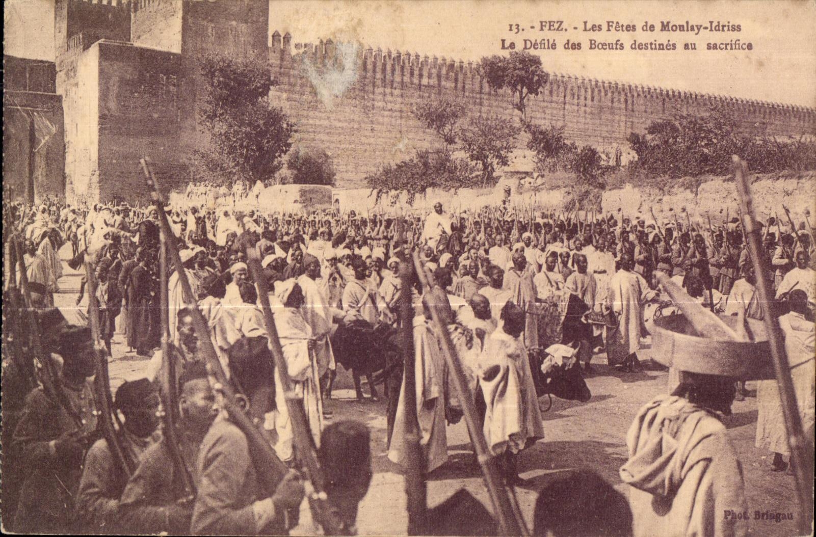 CPA Maroc FEZ Les Fetes de Monlay Idriss Le Defile des boeufs destines au sacrifice