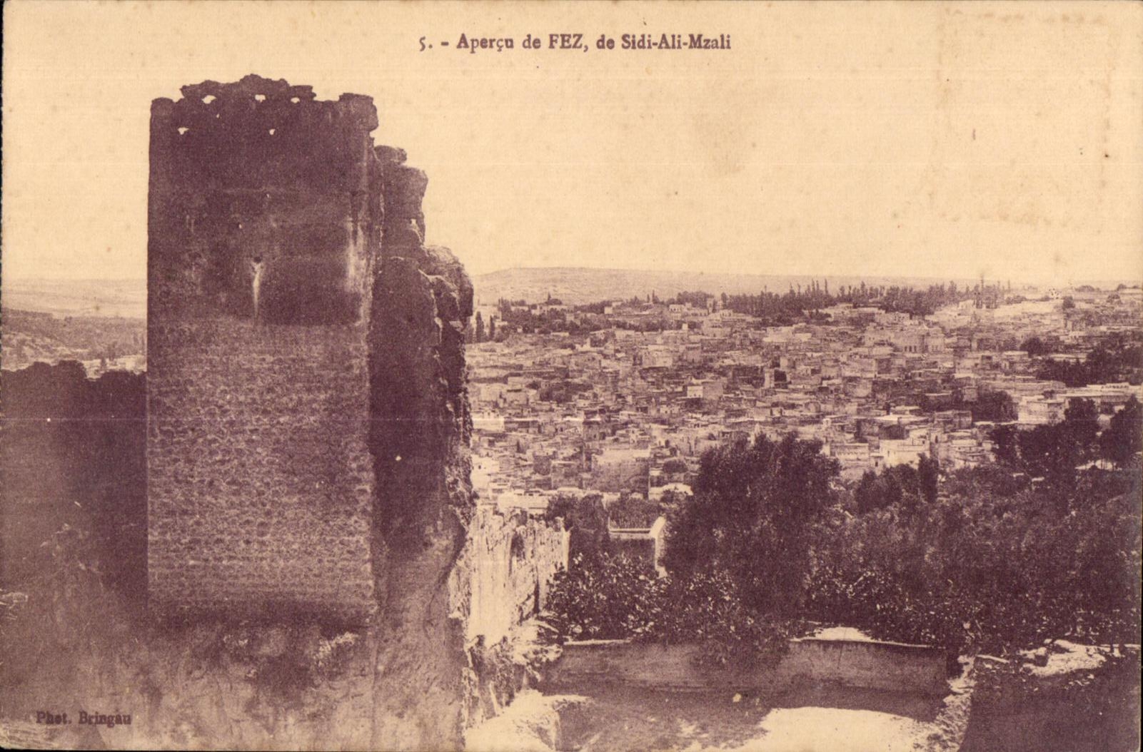 CPA Maroc Apercu de FEZ de Sidi Ali Mzali 
