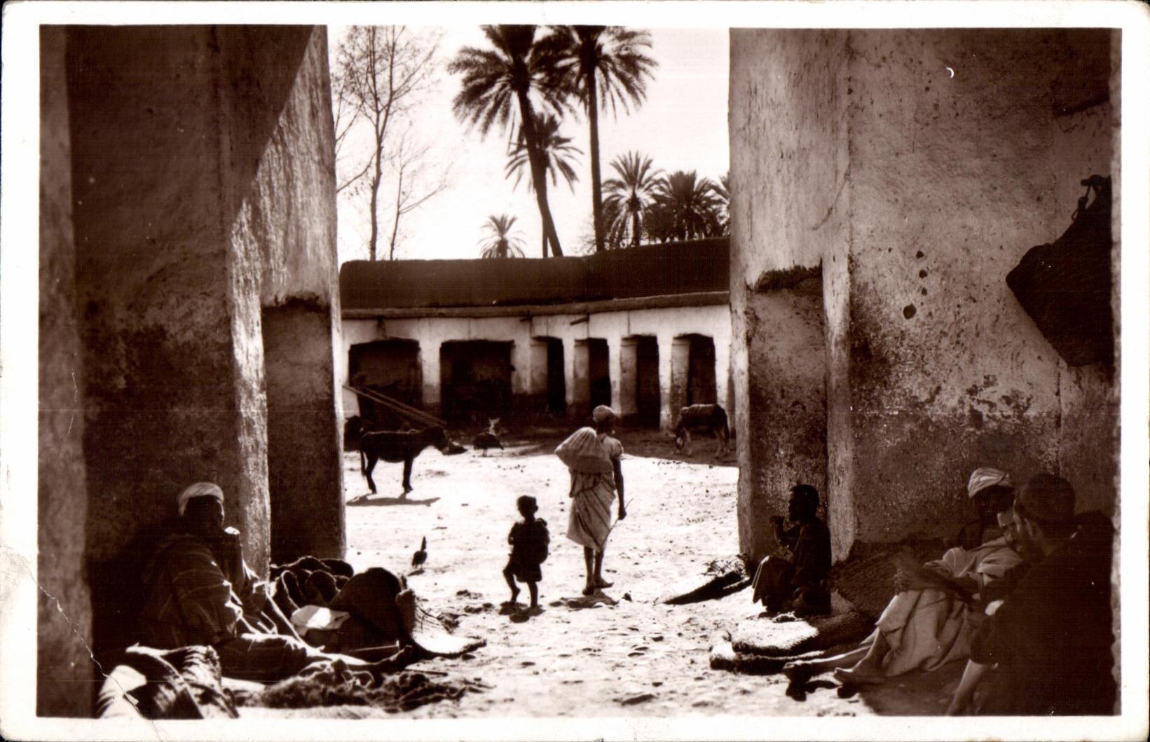 CPA Morocco In the Surroundings of Tarouaani Interior Faudouk