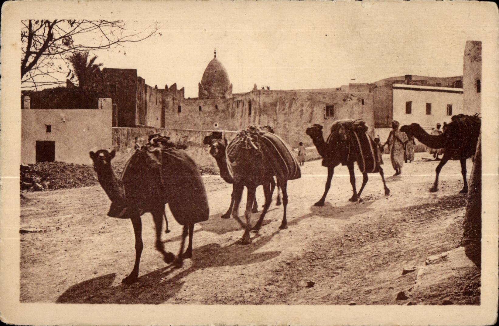 CPA Morocco a caravan crossing a Village of the South CAmel Camel