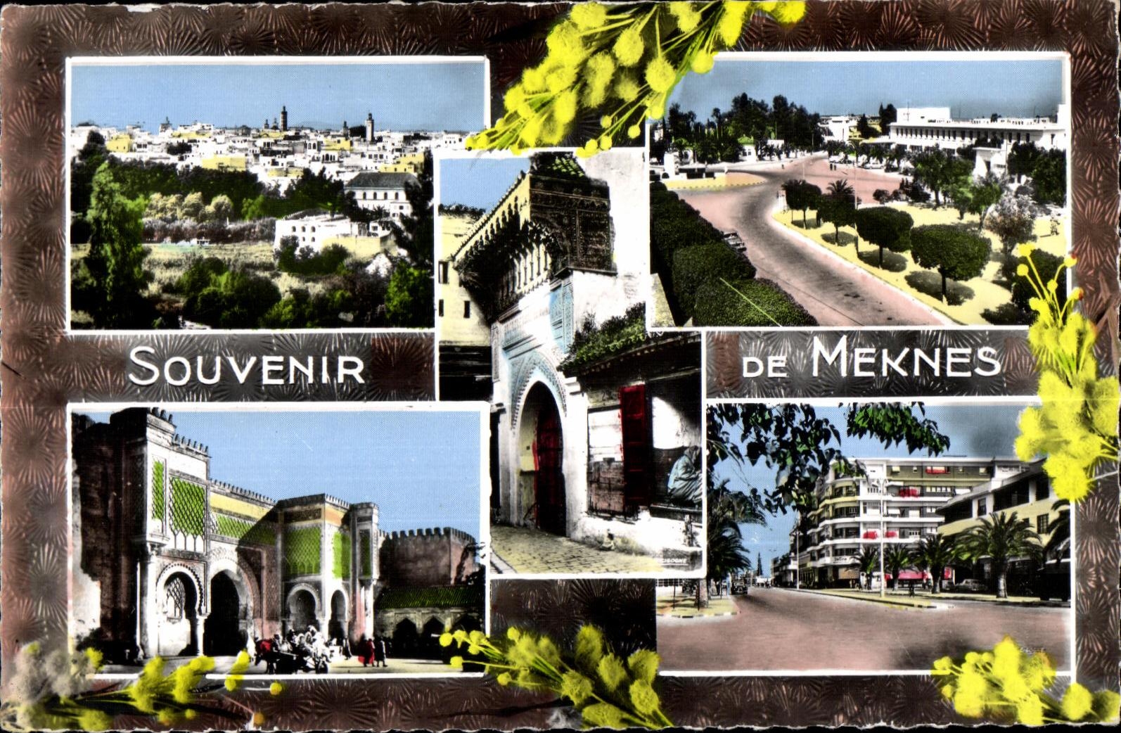 CPSM Maroc Souvenir De Meknes