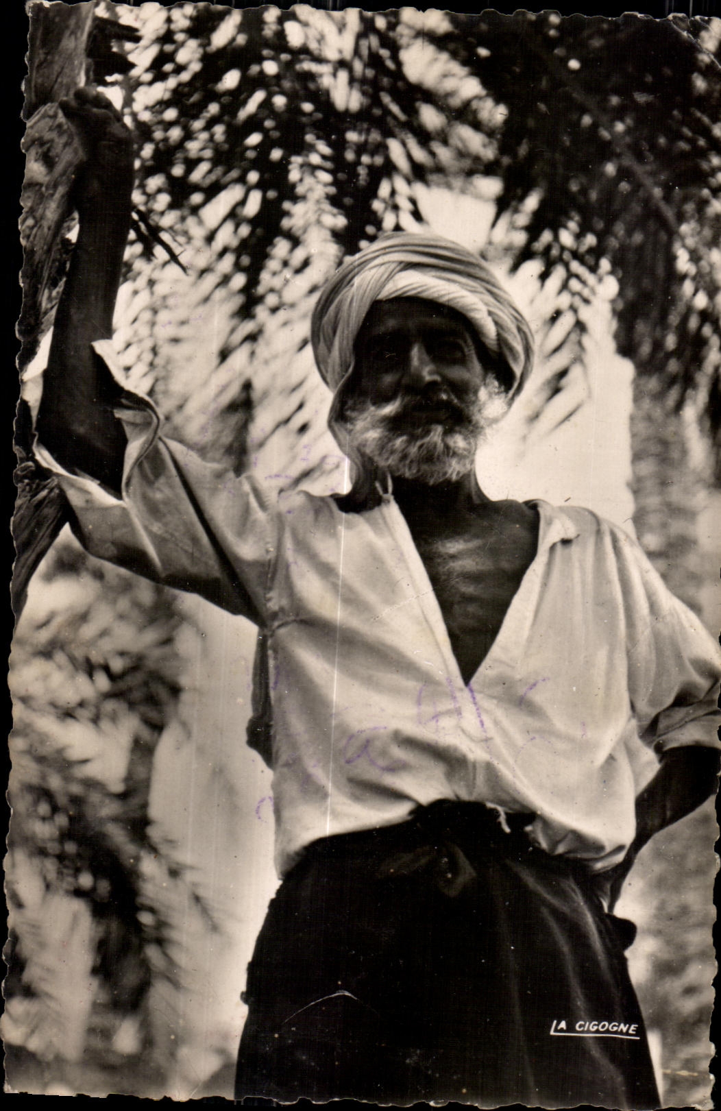 CPA Morocco Scenes and Indigenous Standard Types