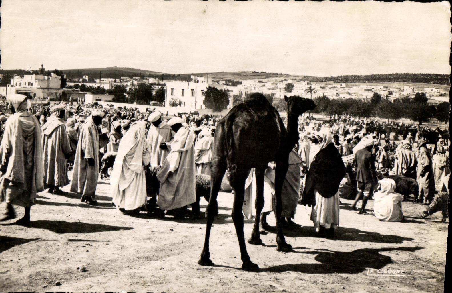 CPA Morocco Scenes   Standards a souk